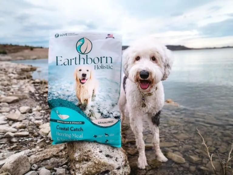 Earthborn Holistic Coastal Catch Grain-Free Dog Food - Herring Meal & Vegetables, 4 lb | Sensitive Skin & Stomach Formula