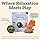 WOOF Wellness Pop Calm | Calming Vitamin Pupsicle Pops for Dogs - Large 8oz