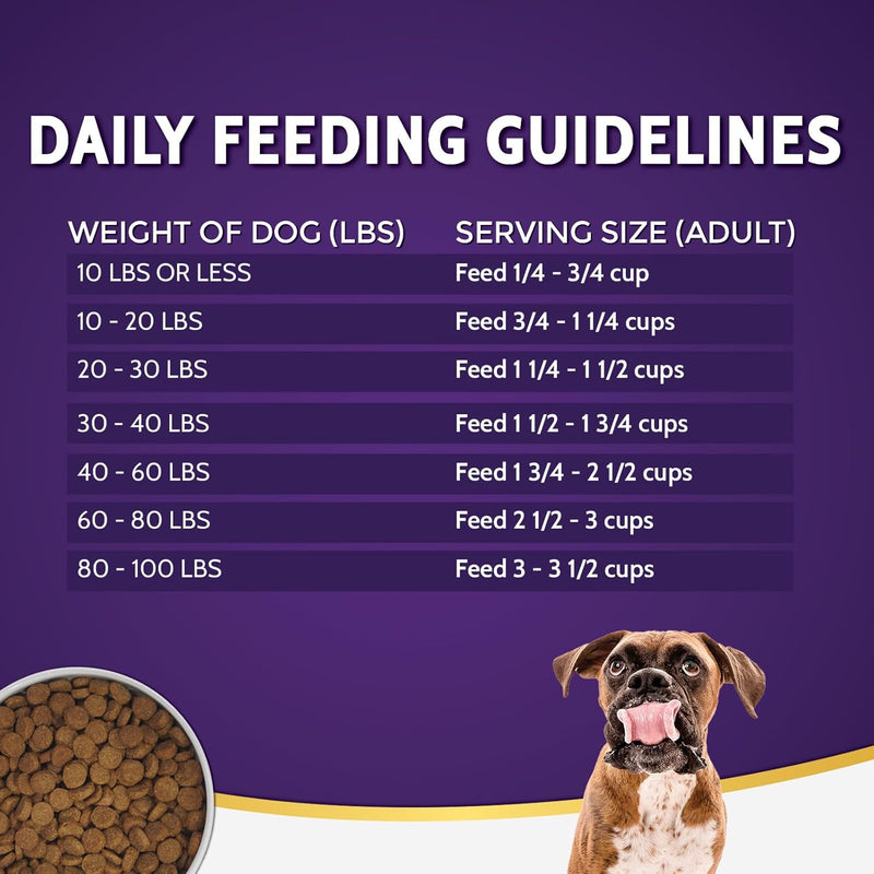 Zignature Salmon Limited Ingredient Dry Dog Food / 12.5LB | Omega-Rich & Skin Support