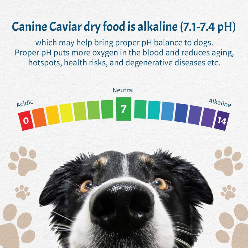 Canine Caviar Wild Ocean Herring Alkaline Dog Food - 11 lb | Limited Ingredient, Grain-Free