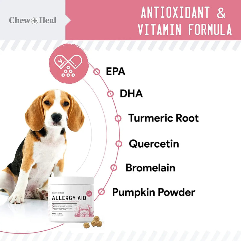 Allergy Chews with Antioxidants by Chew + Heal – Relief & Immune Support