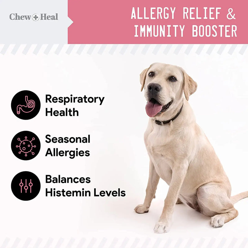 Allergy Chews with Antioxidants by Chew + Heal – Relief & Immune Support