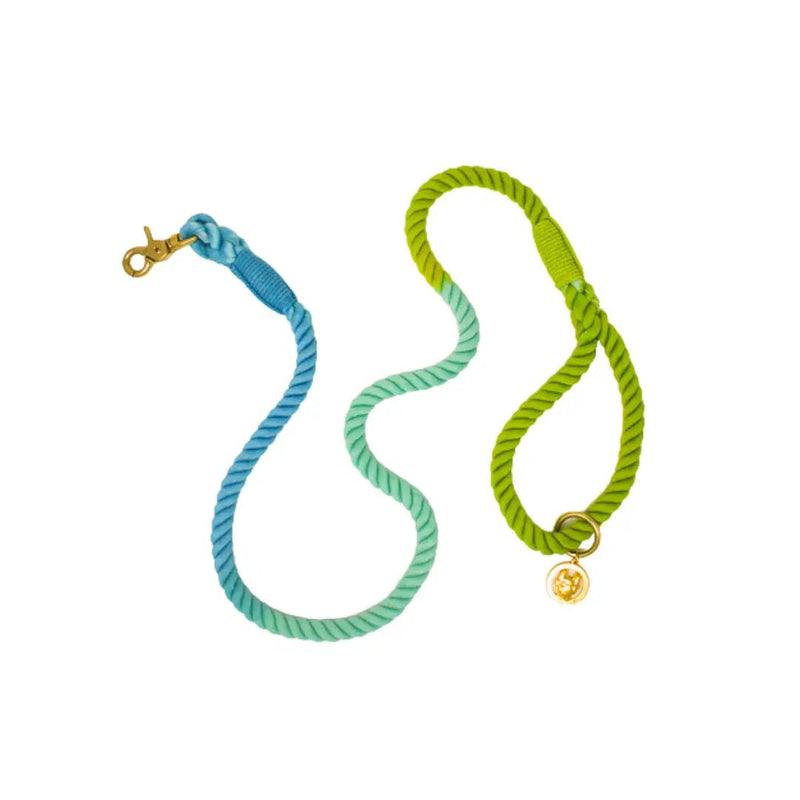 Alexandria Rope Dog Leash | Dog Leash | Blue Ombre Leash - American PuppyPink Papyrus