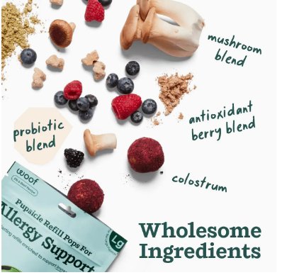 Allergy & Immunity Wellness Pops - American PuppyWoof