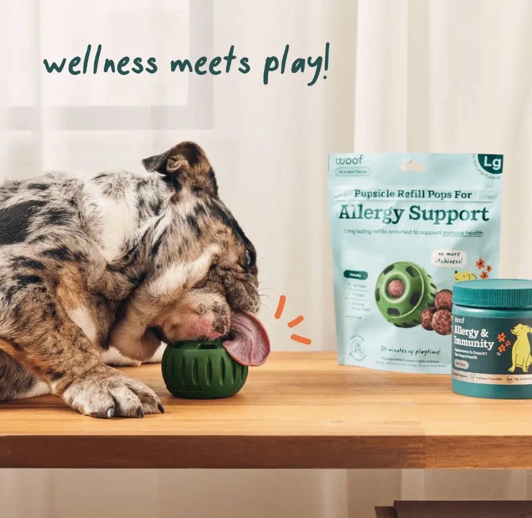 Allergy & Immunity Wellness Pops - American PuppyWoof