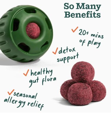 Allergy & Immunity Wellness Pops - American PuppyWoof