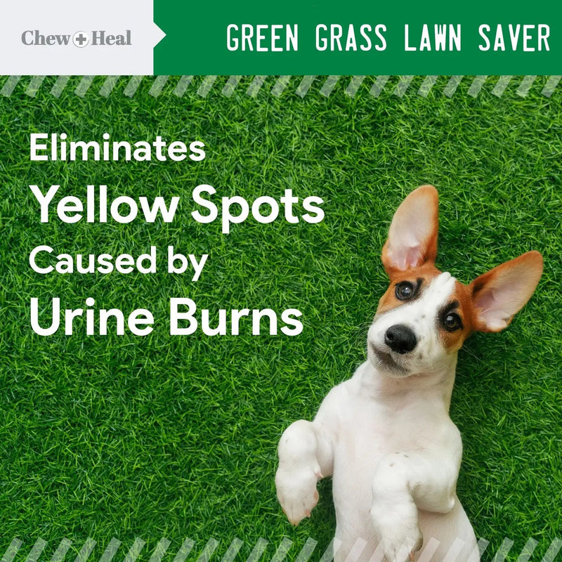 Chew + Heal Grass Saver Chews For Dogs| Dog Urine Grass Saver| 120 Soft Chews - American PuppyChew + Heal