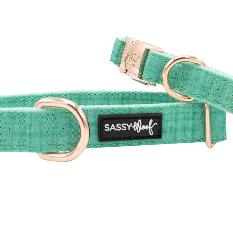 Dog Collar - Wag Your Teal - American PuppySassy Woof