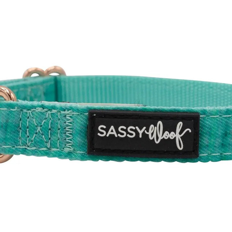 Dog Collar - Wag Your Teal - American PuppySassy Woof