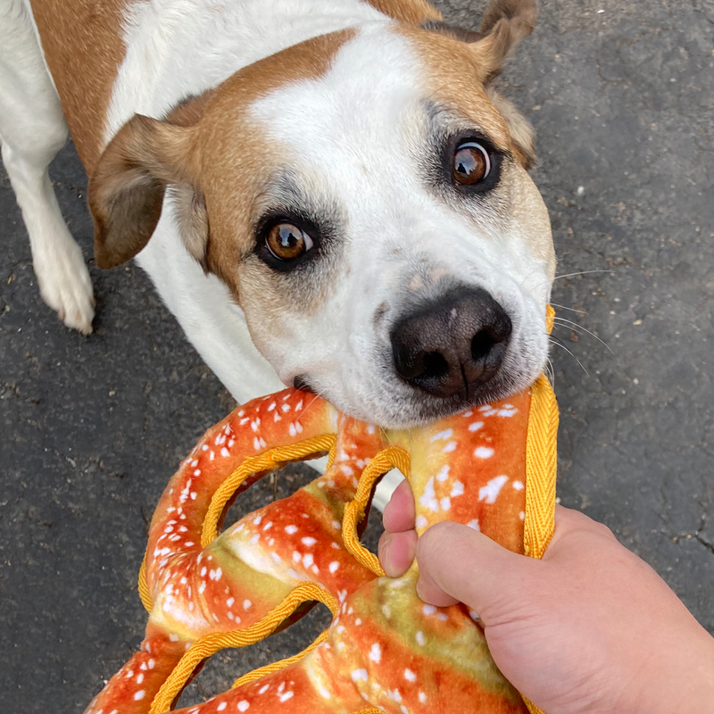 Tuffer Chewer Refillable Pretzel Toy – Durable & Calming Chew Toy for Dogs by Doggijuana