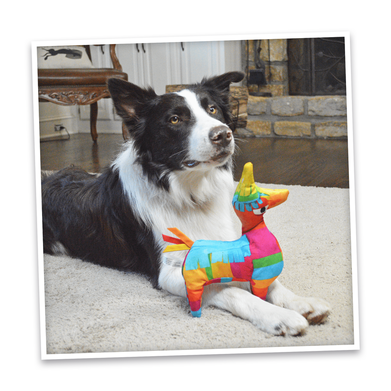 Get the Pawty Started Refillable Llama Piñata Toy with Juananip™ – Doggijuana's Relaxing Catnip for Dogs