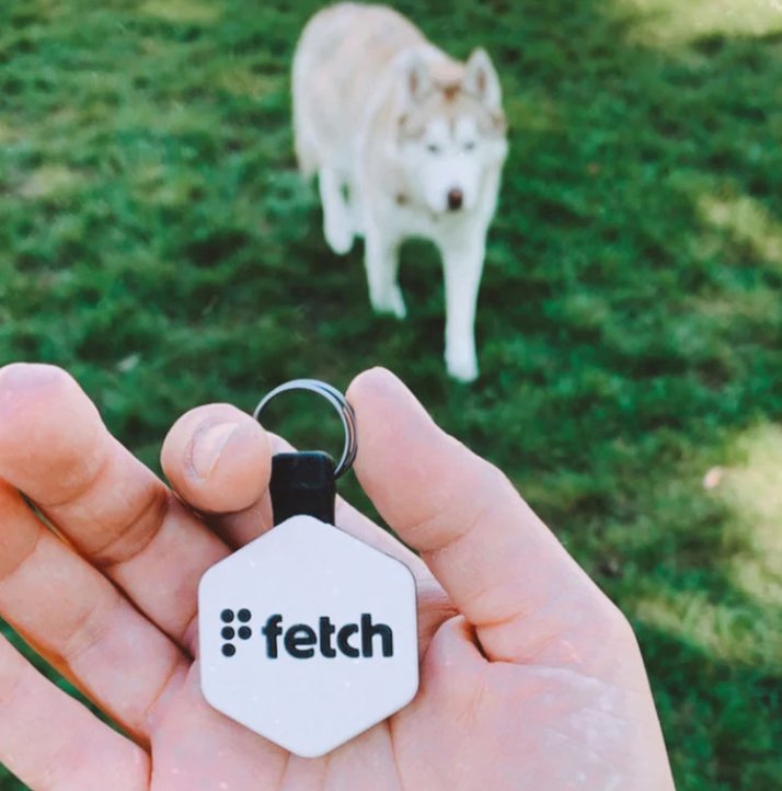 Fetch LifeKey - American PuppyFetch