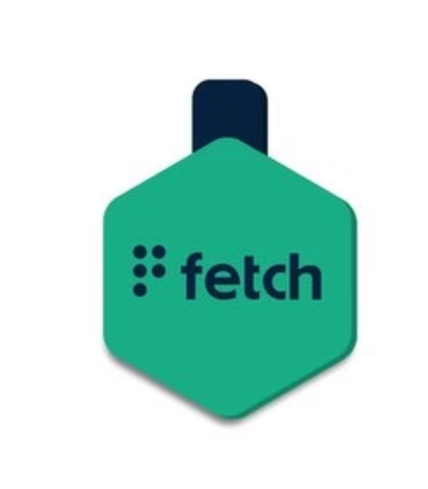 Fetch LifeKey - American PuppyFetch