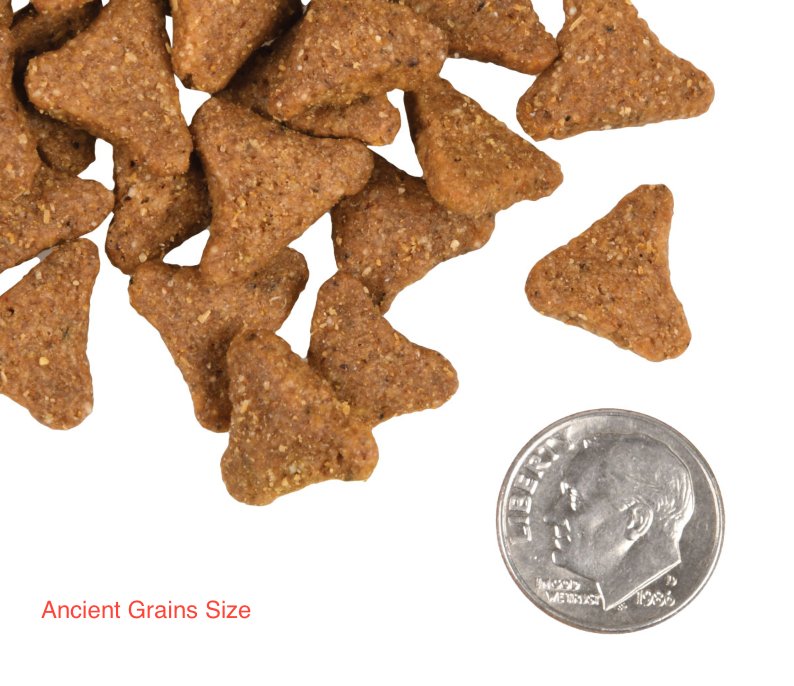 Fromm Adult Gold / With Ancient Grains / 15 lb - American PuppyFromm