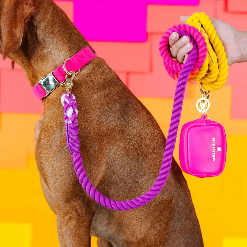 Roxy Rope Dog Leash | Dog Leash | Ombre Leash - American PuppyPink Papyrus