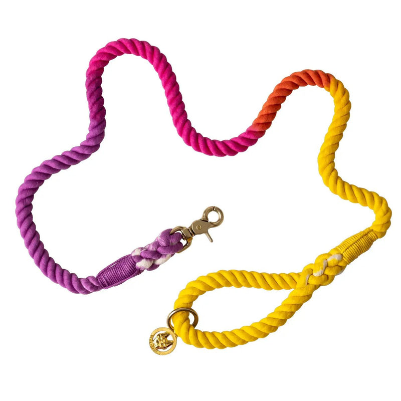 Roxy Rope Dog Leash | Dog Leash | Ombre Leash - American PuppyPink Papyrus